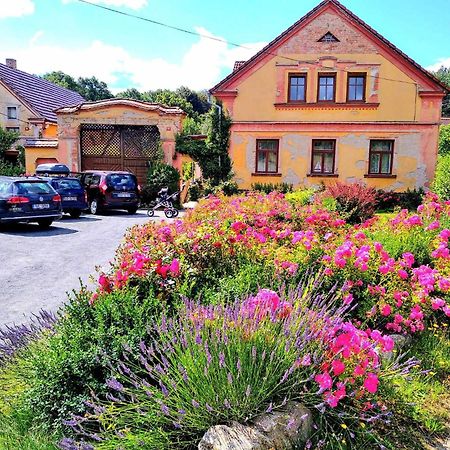 Apartmany Kosov 1 Bor Экстерьер фото